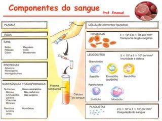 Componentes do sangue   Prof. Emanuel
 