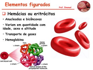 Elementos figurados         Prof. Emanuel


 Hemácias ou eritrócitos
• Anucleadas e bicôncavas
• Variam em quantidade com
idade, sexo e altitude
• Transporte de gases
• Hemoglobina
 