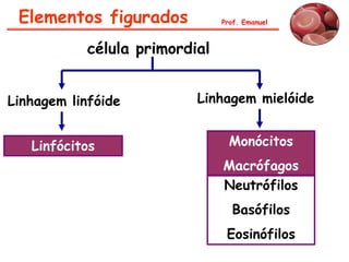 Elementos figurados            Prof. Emanuel



            célula primordial


Linhagem linfóide          Linhagem mielóide


   Linfócitos                     Monócitos
                                Macrófagos
                                Neutrófilos
                                  Basófilos
                                 Eosinófilos
 