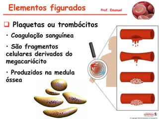 Elementos figurados         Prof. Emanuel




 Plaquetas ou trombócitos
• Coagulação sanguínea
• São fragmentos
celulares derivados do
megacariócito
• Produzidos na medula
óssea
 