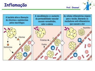 Inflamação   Prof. Emanuel
 