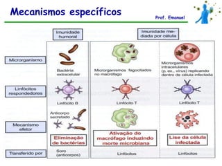Mecanismos específicos   Prof. Emanuel
 
