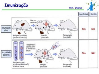 Imunização   Prof. Emanuel
 