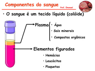 Componentes do sangue           Prof. Emanuel


• O sangue é um tecido líquido (colóide)

               Plasma •   Água
                        • Sais minerais

                        • Compostos orgânicos


               Elementos figurados
                   • Hemácias
                   • Leucócitos
                   • Plaquetas
 