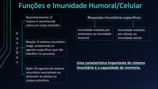 Funções e Imunidade Humoral/Celular
F
u
n
ç
õ
e
s
Reconhecimento: O
invasor é reconhecido
como um corpo estranho
Reação: O sistema imunitário
reage, preparando os
agentes específicos que vão
interferir no processo.
Ação: Os agentes do sistema
imunitário neutralizam ou
destroem as células ou
corpos estranhos
Respostas imunitárias específicas
Imunidade mediada por
anticorpos ou imunidade
humoral
Imunidade mediada
por células ou
imunidade celular
Uma característica importante do sistema
imunitário é a capacidade de memória.
 