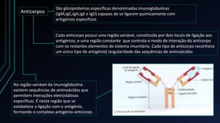 Anticorpos
São glicoproteínas específicas denominadas imunoglobulinas
(IgM,IgC,IgA,IgE e IgD) capazes de se ligarem quimicamente com
antigénios específicos
Cada anticorpo possui uma região variável, constituída por dois locais de ligação aos
antigénios, e uma região constante que controla o modo de interação do anticorpo
com os restantes elementos do sistema imunitário. Cada tipo de anticorpo reconhece
um único tipo de antigénio( singularidade das sequências de aminoácidos
Na região variável da imunoglobulina
existem sequências de aminoácidos que
permitem interações eletrostáticas
específicas. É nesta região que se
estabelece a ligação com o antigénio,
formando o complexo antigénio-anticorpo.
 