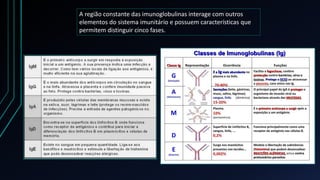 A região constante das imunoglobulinas interage com outros
elementos do sistema imunitário e possuem características que
permitem distinguir cinco fases.
 
