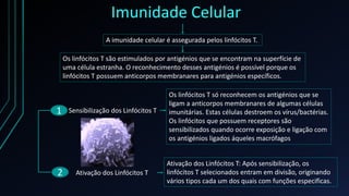 Imunidade Celular
A imunidade celular é assegurada pelos linfócitos T.
Os linfócitos T são estimulados por antigénios que se encontram na superfície de
uma célula estranha. O reconhecimento desses antigénios é possível porque os
linfócitos T possuem anticorpos membranares para antigénios específicos.
1
2
Sensibilização dos Linfócitos T
Ativação dos Linfócitos T
Os linfócitos T só reconhecem os antigénios que se
ligam a anticorpos membranares de algumas células
imunitárias. Estas células destroem os vírus/bactérias.
Os linfócitos que possuem receptores são
sensibilizados quando ocorre exposição e ligação com
os antigénios ligados áqueles macrófagos
Ativação dos Linfócitos T: Após sensibilização, os
linfócitos T selecionados entram em divisão, originando
vários tipos cada um dos quais com funções especificas.
 