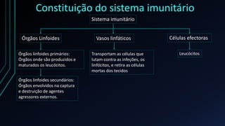 Constituição do sistema imunitário
Sistema imunitário
Órgãos Linfoides Vasos linfáticos Células efectoras
Órgãos linfoides primários:
Órgãos onde são produzidos e
maturados os leucócitos.
Órgãos linfoides secundários:
Órgãos envolvidos na captura
e destruição de agentes
agressores externos.
Transportam as células que
lutam contra as infeções, os
linfócitos, e retira as células
mortas dos tecidos
Leucócitos
 