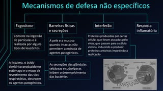 Mecanismos de defesa não específicos
Fagocitose Resposta
inflamatória
Barreiras físicas
e secreções
Interferão
Consiste na ingestão
de partículas e é
realizada por alguns
tipos de leucócitos.
A pele e a mucosa
quando intactas não
permitem a entrada de
agentes patogénicos.
As secreções das glândulas
sebáceas e sudoríparas
inibem o desenvolvimento
das bactérias
A lisozima, o ácido
clorídrico produzido no
estômago e o muco de
revestimento das vias
respiratórias, destroem
os agentes patogénicos.
Proteínas produzidas por certas
células que foram atacadas pelo
vírus, que passam para a célula
vizinha, induzindo a produzir
proteínas antivirais impedindo a
replicação
 