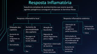 Resposta Inflamatória
Sequência complexa de acontecimentos que ocorre quando
agentes patogénicos conseguem ultrapassar as barreiras físicas
Resposta inflamatória local Resposta inflamatória sistémica
Dilatação dos
capilares
Aumento do
fluxo
sanguíneo na
região
Vermelhidão
Calor
Aumento da
permeabilidade
dos capilares
Passagem de
fluido para
tecido afetado
Inchaço
Dor
Atração de
leucócitos
Migração de
células fagocitárias
para a região
Fagocitose e destruição
de bactérias
Reparação do
tecido lesionado
Libertação de
agentes
pirogénicos
pelos leucócitos
Febre
Estimulação da
fagocitose e inibição
da proliferação de
microrganismos
Aumento do
número de
leucócitos
Estimulação
da fagocitose
 