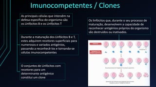 Imunocompetentes / Clones
As principais células que intervêm na
defesa específica do organismo são
os Linfócitos B e os Li...
