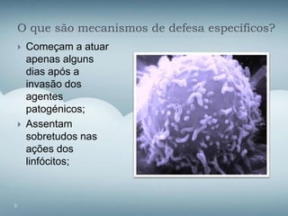 O que são mecanismos de defesa específicos?
 Começam a atuar
apenas alguns
dias após a
invasão dos
agentes
patogénicos;
 Assentam
sobretudos nas
ações dos
linfócitos;
 