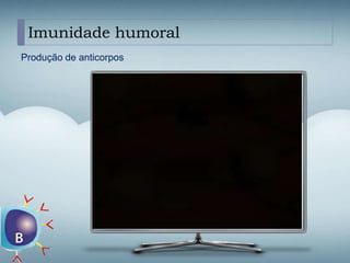 Imunidade humoral
Produção de anticorpos
 