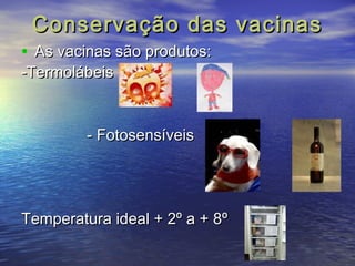 Conservação ddaass vvaacciinnaass 
• AAss vvaacciinnaass ssããoo pprroodduuttooss:: 
--TTeerrmmoolláábbeeiiss 
-- FFoottoosseennssíívveeiiss 
TTeemmppeerraattuurraa iiddeeaall ++ 22º aa ++ 88º 
 