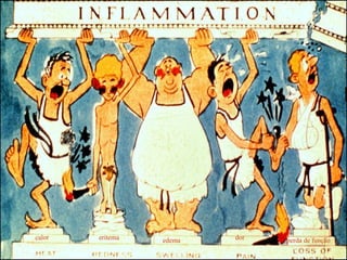 calor   eritema   edema   dor   perda de função
 