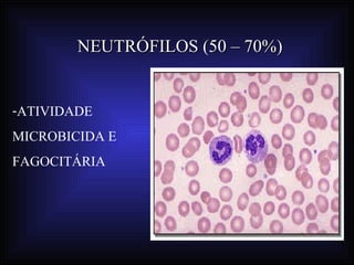 NEUTRÓFILOS (50 – 70%)


-ATIVIDADE
MICROBICIDA E
FAGOCITÁRIA
 
