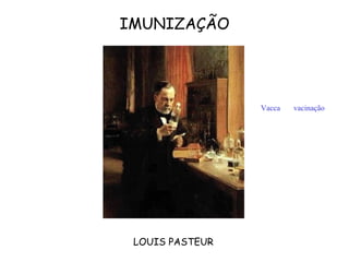 IMUNIZAÇÃO




                 Vacca   vacinação




 LOUIS PASTEUR
 