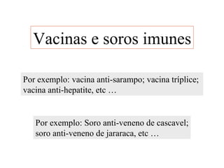 Vacinas e soros imunes

Por exemplo: vacina anti-sarampo; vacina tríplice;
vacina anti-hepatite, etc …


   Por exemplo: Soro anti-veneno de cascavel;
   soro anti-veneno de jararaca, etc …
 