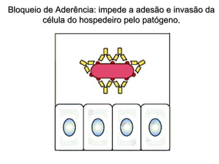 Bloqueio de Aderência: impede a adesão e invasão da
         célula do hospedeiro pelo patógeno.
 