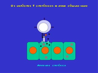 O s linfócitos T citotóxicos m atam c élu las -alvo




                 Ativid ad e citotóxica
 