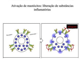 Ativação de mastócitos: liberação de substâncias
                       inflamatórias




                                                  alérgeno
                                                   Alergeno


                                o
Recepto
        r            Anticorp
 