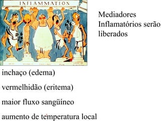 Mediadores
                               Inflamatórios serão
                               liberados



inchaço (edema)
vermelhidão (eritema)
maior fluxo sangüíneo
aumento de temperatura local
            a
 