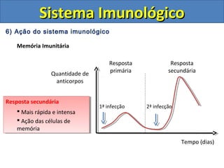 6) Ação do sistema imunológico
Memória Imunitária
Sistema ImunológicoSistema Imunológico
Resposta
primária
Resposta
secundáriaQuantidade de
anticorpos
Tempo (dias)
1ª infecção 2ª infecção
Resposta secundária
 Mais rápida e intensa
 Ação das células de
memória
Resposta secundária
 Mais rápida e intensa
 Ação das células de
memória
 