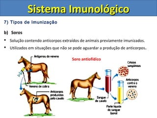 7) Tipos de Imunização
b) Soros
 Solução contendo anticorpos extraídos de animais previamente imunizados.
 Utilizados em situações que não se pode aguardar a produção de anticorpos.
Sistema ImunológicoSistema Imunológico
Soro antiofídico
 