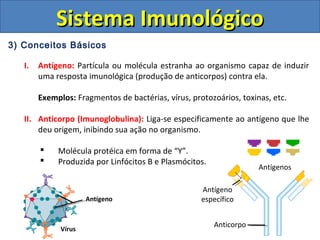 3) Conceitos Básicos
I. Antígeno: Partícula ou molécula estranha ao organismo capaz de induzir
uma resposta imunológica (produção de anticorpos) contra ela.
Exemplos: Fragmentos de bactérias, vírus, protozoários, toxinas, etc.
II. Anticorpo (Imunoglobulina): Liga-se especificamente ao antígeno que lhe
deu origem, inibindo sua ação no organismo.
 Molécula protéica em forma de “Y”.
 Produzida por Linfócitos B e Plasmócitos.
Sistema ImunológicoSistema Imunológico
Anticorpo
Antígenos
Antígeno
específicoAntígeno
Vírus
 