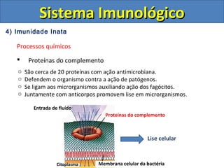 4) Imunidade Inata
Processos químicos
 Proteínas do complemento
Sistema ImunológicoSistema Imunológico
o São cerca de 20 proteínas com ação antimicrobiana.
o Defendem o organismo contra a ação de patógenos.
o Se ligam aos microrganismos auxiliando ação dos fagócitos.
o Juntamente com anticorpos promovem lise em microrganismos.
Membrana celular da bactériaCitoplasma
Entrada de fluído
Proteínas do complemento
Lise celular
 