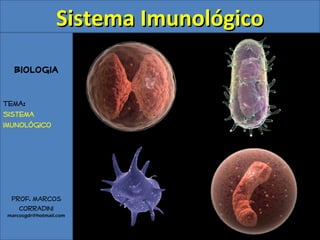 Biologia
Tema:
Sistema
imunológico
Prof. Marcos
Corradini
marcosgdr@hotmail.com
Sistema ImunológicoSistema Imunológico
 