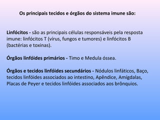 Os principais tecidos e órgãos do sistema imune são:
Linfócitos - são as principais células responsáveis pela resposta
imune: linfócitos T (vírus, fungos e tumores) e linfócitos B
(bactérias e toxinas).
Órgãos linfóides primários - Timo e Medula óssea.
Órgãos e tecidos linfóides secundários - Nódulos linfáticos, Baço,
tecidos linfóides associados ao intestino, Apêndice, Amígdalas,
Placas de Peyer e tecidos linfóides associados aos brônquios.
 
