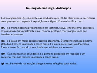 Imunoglobulinas (Ig) - Anticorpos
As imunoglobulinas (Ig) são proteínas produzidas por células plasmáticas e secretadas
no organismo em resposta à exposição ao antígeno. Elas se classificam em:
IgA - é a imunoglobulina predominante nas lágrimas, saliva, leite materno, secreções
respiratórias e trato gastrointestinal. Fornece proteção contra organismos que
invadem estas áreas.
IgG - è a classe em maior concentração no organismo. É também chamada de gama
globulina. Fornece imunidade a longo prazo. É a única que atravessa a Placenta e
fornece ao recém nascido a imunidade que vai durar vários meses.
IgM - É a Segunda mais abundante. É a primeira produzida em resposta a um
antígeno, mas não fornece imunidade a longo prazo.
IgE - está envolvida nas reações alérgicas e nas infecções parasitárias.
 
