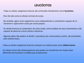 LEUCÓCITOS
Todas as células sangüíneas brancas são conhecidas oficialmente como leucócitos.
Elas não são como as células normais do corpo.
Na verdade, agem como organismos vivos independentes e unicelulares capazes de se
moverem e capturarem coisas por conta própria.
As células brancas se comportam, de certo modo, como amebas em seus movimentos e são
capazes de absorver outras células e bactérias.
Algumas delas não podem se dividir e reproduzir por conta própria, porém, são produzidas
pela medula óssea.
Todas as células sangüíneas brancas começam na medula óssea como células tronco.
As células tronco são células genéricas que podem se transformar em muitos tipos
diferentes de leucócitos à medida que amadurecem.
 