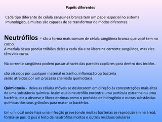 Papéis diferentes
Cada tipo diferente de célula sangüínea branca tem um papel especial no sistema
imunológico, e muitas são capazes de se transformar de modos diferentes.
Neutrófilos -são a forma mais comum de célula sangüínea branca que você tem no
corpo.
A medula óssea produz trilhões deles a cada dia e os libera na corrente sangüínea, mas eles
têm vida curta.
Na corrente sangüínea podem passar através das paredes capilares para dentro dos tecidos.
são atraídos por qualquer material estranho, inflamação ou bactéria
serão atraídos por um processo chamado quimiotaxia.
Quimiotaxia - deixa as células móveis se deslocarem em direção às concentrações mais altas
de uma substância química. Assim que o neutrófilo encontra uma partícula estranha ou uma
bactéria, ele a absorve e libera enzimas como o peróxido de hidrogênio e outras substâncias
químicas dos seus grânulos para matar as bactérias.
Em um local onde haja uma infecção grave (onde muitas bactérias se reproduziram na área),
forma-se pus. O pus é feito de neutrófilos mortos e outros resíduos celulares
 