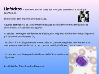 Linfócitos -eliminam a maior parte das infecções bacterianas e virais que
apanhamos.
Os linfócitos têm origem na medula óssea.
Aqueles destinados a se transformar em células B se desenvolvem na medula óssea
antes de entrar na corrente sangüínea.
As células T começam a se formar na medula, mas migram através da corrente sangüínea
para o timo e amadurecem lá.,
As células T e B são geralmente encontradas na corrente sangüínea mas tendem a se
concentrar em tecidos linfáticos tais como os nódulos linfáticos, timo e baço.
Há também uma boa quantidade de tecido linfático no sistema
digestivo.
As células B e T têm funções diferentes.
 