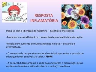 RESPOSTA
INFLAMATÓRIA
Inicia-se com a liberação de histamina – basófilos e mastócitos.
-Promovem a vasodilatação e o aumento da permeabilidade do capilar.
-Propicia um aumento de fluxo sangüíneo no local – deixando-a
avermelhada.
- O aumento da temperatura no local contribui para evitar a entrada de
microrganismos sensíveis ao calor. - FEBRE
- A permeabilidade propicia a saída dos neutrófilos e macrófagos pelos
capilares e também a saída do plasma – inchaço ou edema.
 