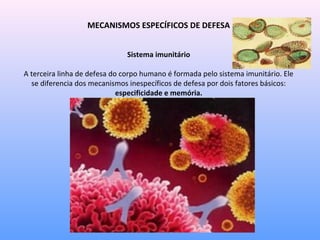 MECANISMOS ESPECÍFICOS DE DEFESA
Sistema imunitário
A terceira linha de defesa do corpo humano é formada pelo sistema imunitário. Ele
se diferencia dos mecanismos inespecíficos de defesa por dois fatores básicos:
especificidade e memória.
 