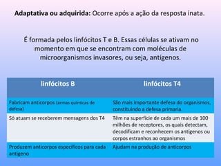 Adaptativa ou adquirida: Ocorre após a ação da resposta inata.
É formada pelos linfócitos T e B. Essas células se ativam no
momento em que se encontram com moléculas de
microorganismos invasores, ou seja, antígenos.
linfócitos B linfócitos T4
Fabricam anticorpos (armas químicas de
defesa)
São mais importante defesa do organismos,
constituindo a defesa primaria.
Só atuam se receberem mensagens dos T4 Têm na superfície de cada um mais de 100
milhões de receptores, os quais detectam,
decodificam e reconhecem os antígenos ou
corpos estranhos ao organismos
Produzem anticorpos específicos para cada
antígeno
Ajudam na produção de anticorpos
 