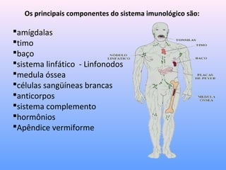 Os principais componentes do sistema imunológico são:
amígdalas
timo
baço
sistema linfático - Linfonodos
medula óssea
células sangüíneas brancas
anticorpos
sistema complemento
hormônios
Apêndice vermiforme
 