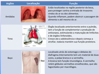 órgãos Localização Função
Amídalas
Estão localizadas na região posterior da boca,
para proteger contra a entrada de invasores
vindos do ar ou dos alimentos.
Quando inflamam, podem obstruir a passagem de
alimento e até mesmo do ar.
Timo
Órgão localizado anteriormente entre o pulmão,
tem a função de complementar a produção de
anticorpos, estimulando a maturação de linfócitos
e de órgãos linfonoides.
Cresce ate a adolescência e depois começa a
atrofiar, todavia mantém sua função protetora.
Baço
Localizado atrás do estomago e debaixo do
diafragma.Internamente tem um material de duas
cores, a polpa branca e a vermelha.
A branca tem função imunológica. A vermelha
retém glóbulos vermelhos envelhecidos, que são
fagocitados por macrófagos.
 