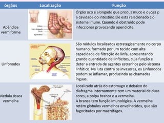 órgãos Localização Função
Apêndice
vermiforme
Órgão oco e alongado que produz muco e o joga p
a cavidade do intestino.Ele esta relacionado c o
sistema imune. Quando é obstruído pode
infeccionar provocando apendicite.
Linfonodos
São nódulos localizados estrategicamente no corpo
humano, formado por um tecido com alta
capacidade de filtração de linfa, apresentando
grande quantidade de linfócitos, cuja função e
deter a entrada de agentes estranhos pelo sistema
linfático. Na luta contra os invasores, os Linfonodos
podem se inflamar, produzindo as chamadas
ínguas.
Medula óssea
vermelha
Localizado atrás do estomago e debaixo do
diafragma.Internamente tem um material de duas
cores, a polpa branca e a vermelha.
A branca tem função imunológica. A vermelha
retém glóbulos vermelhos envelhecidos, que são
fagocitados por macrófagos.
 