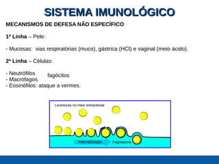 SISTEMA IMUNOLÓGICOSISTEMA IMUNOLÓGICO
MECANISMOS DE DEFESA NÃO ESPECÍFICO
1ª Linha – Pele:
- Mucosas: vias respiratórias (muco), gástrica (HCl) e vaginal (meio ácido).
2ª Linha – Células:
- Neutrófilos
- Macrófagos
- Eosinófilos: ataque a vermes.
fagócitos
 