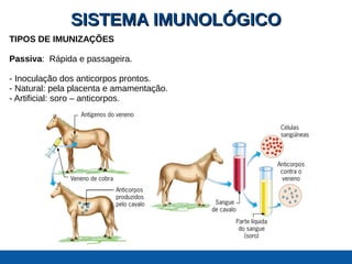 SISTEMA IMUNOLÓGICOSISTEMA IMUNOLÓGICO
TIPOS DE IMUNIZAÇÕES
Passiva: Rápida e passageira.
- Inoculação dos anticorpos prontos.
- Natural: pela placenta e amamentação.
- Artificial: soro – anticorpos.
 
