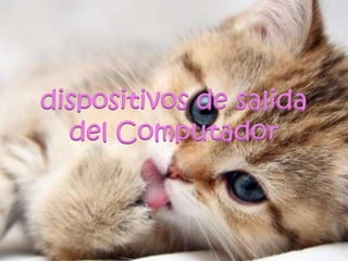 dispositivos de salida
del Computador
 