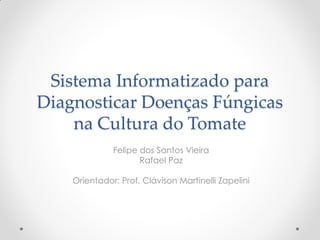 Sistema Informatizado para
Diagnosticar Doenças Fúngicas
na Cultura do Tomate
Felipe dos Santos Vieira
Rafael Paz

Orientador: Prof. Clávison Martinelli Zapelini

 