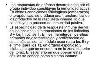 Las respuestas de defensa desarrolladas por el propio individuo constituyen la inmunidad activa. En ciertas condiciones fisiológicas (embarazos) o terapéuticas, se produce una transferencia de los productos de la respuesta inmune, lo que constituye un proceso de inmunidad pasiva. La especificidad de la respuesta inmune deriva de las acciones e interacciones de los linfocitos B y los linfocitos T. En los mamíferos, los sitios primarios de diferenciación y proliferación de estas células son la médula ósea (para los B) y el timo (para los T), un órgano esponjoso y bilobulado que se encuentra en la zona superior del tórax. El escenario en que operan estas células se conoce como sistema inmune.  