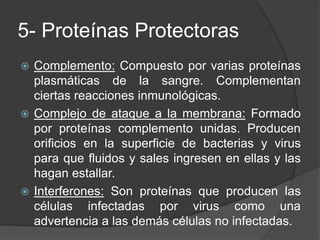 Sistema Inmune en espanol /Immune system in spanish