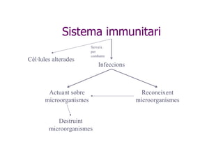 Sistema immunitari
                         Serveix
                         per
                         combatre
Cèl·lules alterades
                             Infeccions



        Actuant sobre                       Reconeixent
       microorganismes                    microorganismes


           Destruint
        microorganismes
 